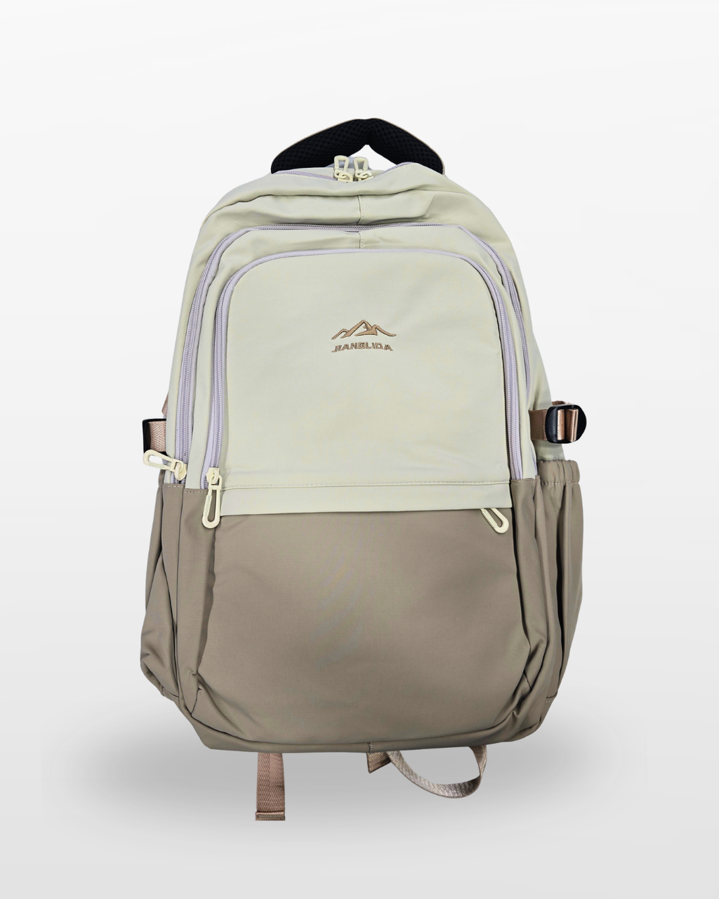 Urban Travel Laptop Backpack