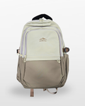 Urban Travel Laptop Backpack