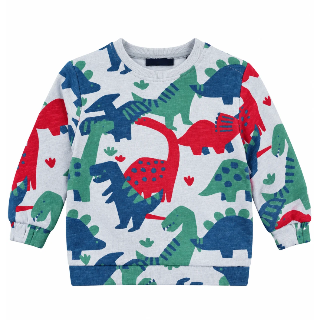 Kids Dinosaur Print Sweatshirt